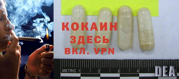 эйфоретик Арсеньев