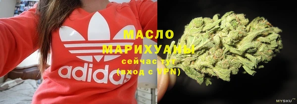 эйфоретик Арсеньев