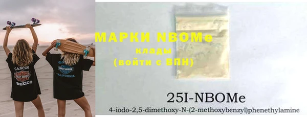 индика Аркадак