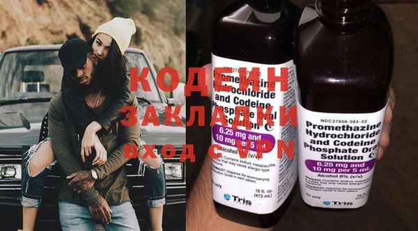 индика Аркадак