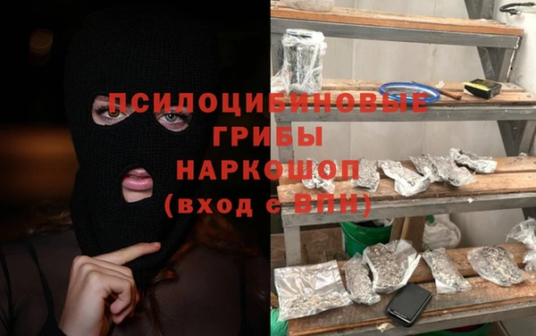 индика Аркадак