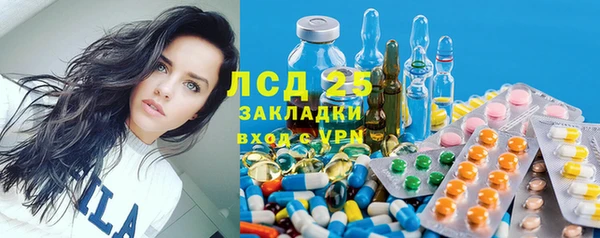 индика Аркадак