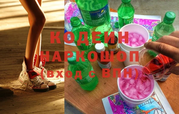 индика Аркадак